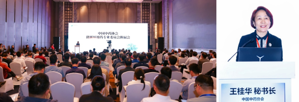 尊鼎配资 中国中药协会微循环用药专委会换届，引领中医药高质量前行
