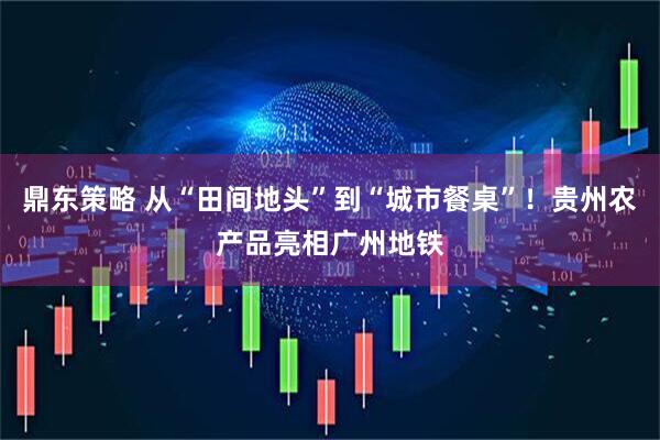 鼎东策略 从“田间地头”到“城市餐桌”！贵州农产品亮相广州地铁