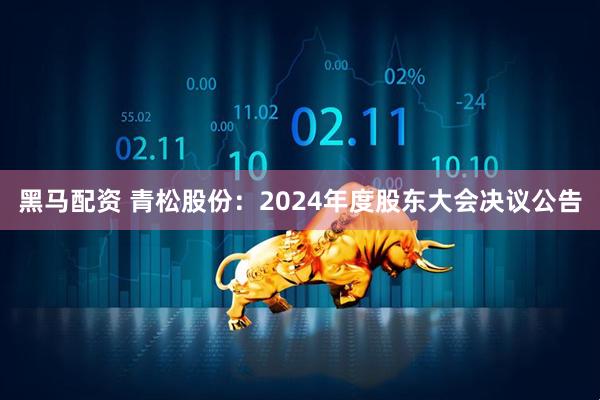 黑马配资 青松股份：2024年度股东大会决议公告